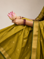 Saanjh x Mustard Gold